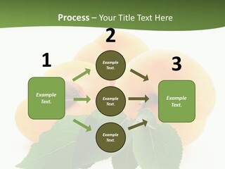 Season Plant Orange PowerPoint Template
