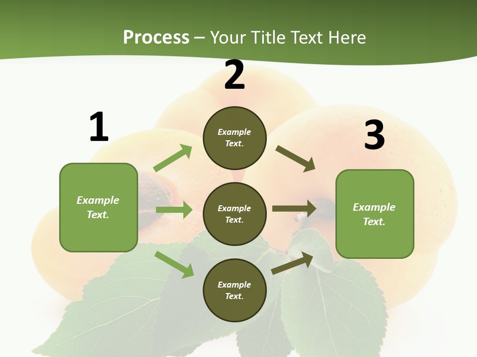 Season Plant Orange PowerPoint Template