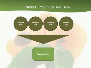 Season Plant Orange PowerPoint Template