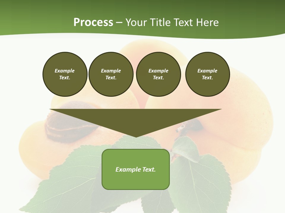 Season Plant Orange PowerPoint Template