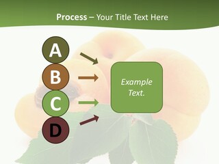 Season Plant Orange PowerPoint Template