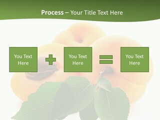 Season Plant Orange PowerPoint Template