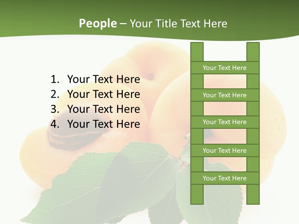 Season Plant Orange PowerPoint Template