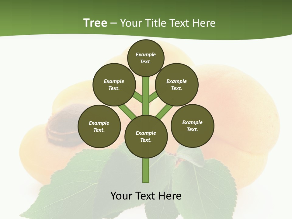 Season Plant Orange PowerPoint Template