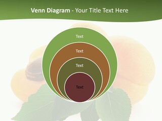 Season Plant Orange PowerPoint Template