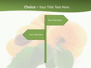 Season Plant Orange PowerPoint Template