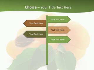 Season Plant Orange PowerPoint Template