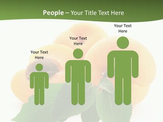 Season Plant Orange PowerPoint Template