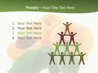 Season Plant Orange PowerPoint Template