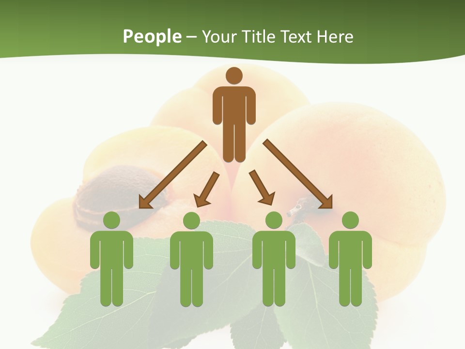 Season Plant Orange PowerPoint Template