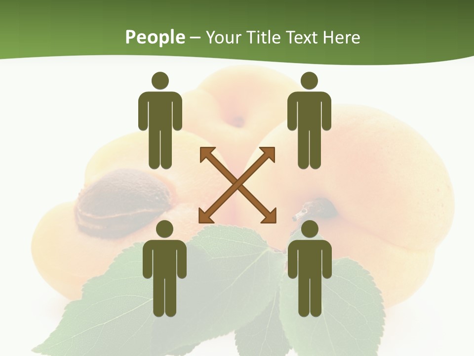 Season Plant Orange PowerPoint Template