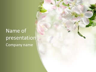 Season Macro Blossom PowerPoint Template