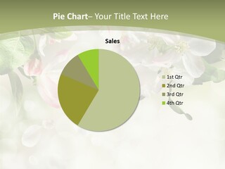 Season Macro Blossom PowerPoint Template