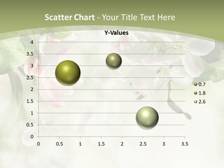 Season Macro Blossom PowerPoint Template