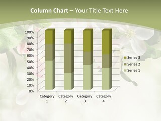 Season Macro Blossom PowerPoint Template