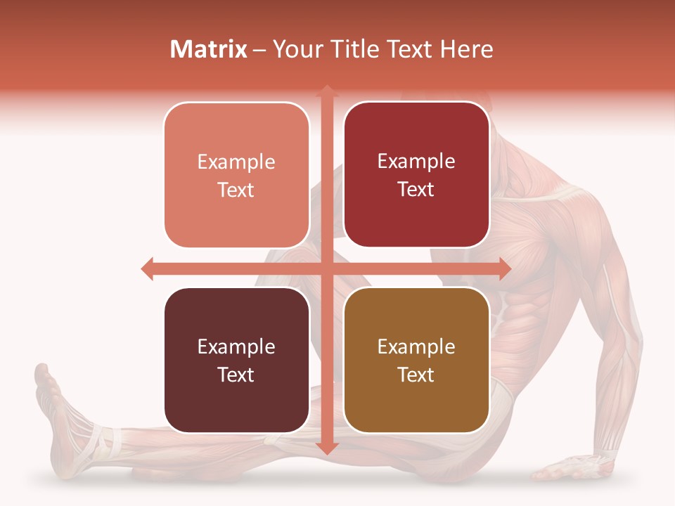 Man Body People PowerPoint Template