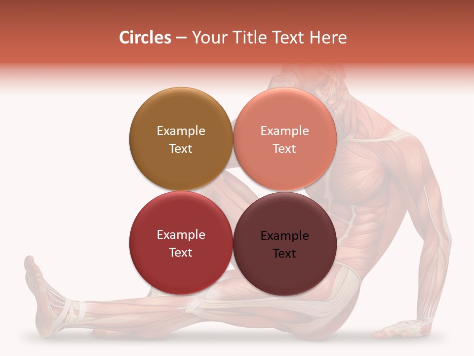 Man Body People PowerPoint Template