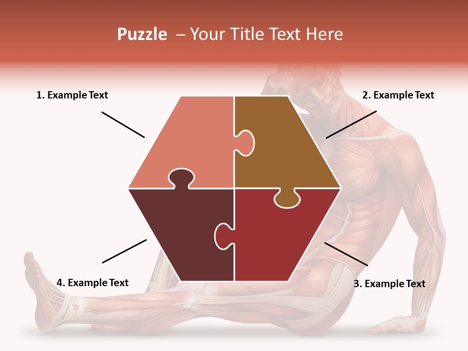 Man Body People PowerPoint Template