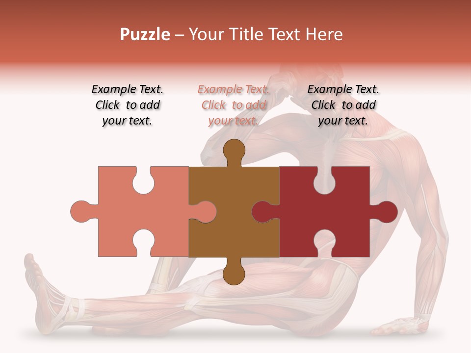 Man Body People PowerPoint Template