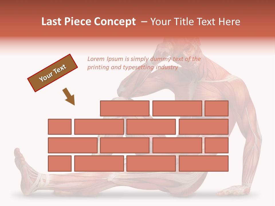 Man Body People PowerPoint Template