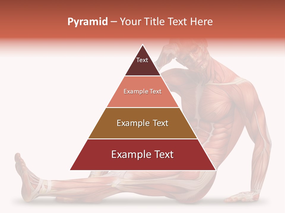 Man Body People PowerPoint Template