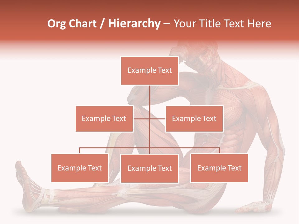 Man Body People PowerPoint Template