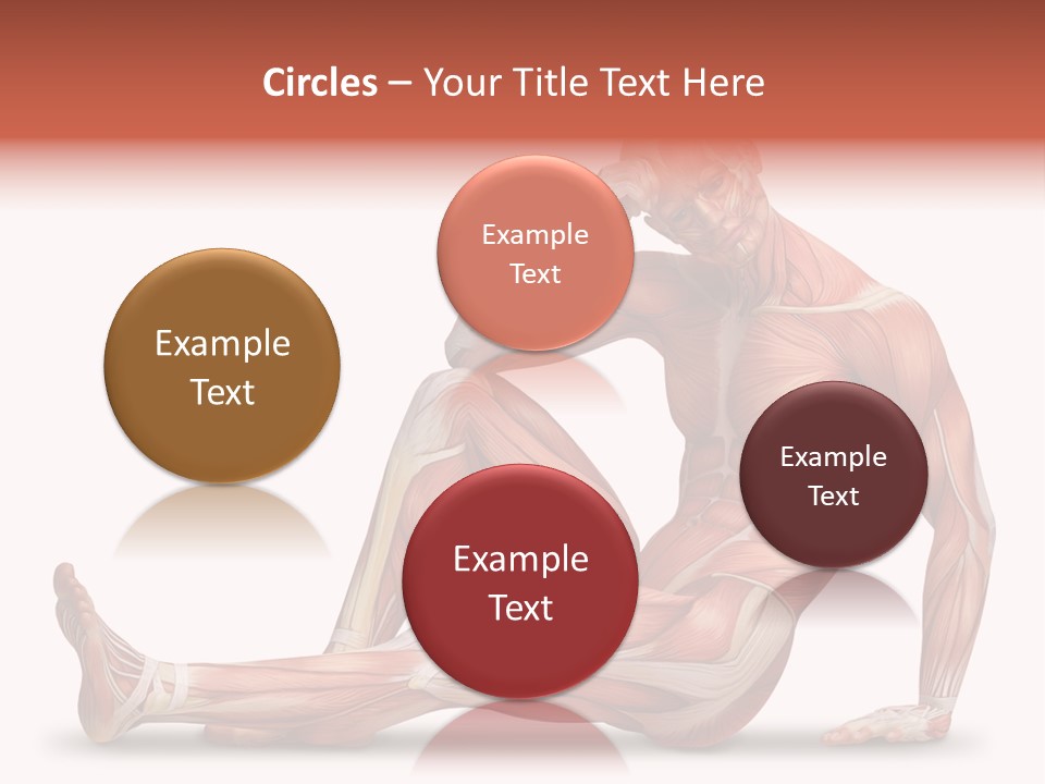 Man Body People PowerPoint Template