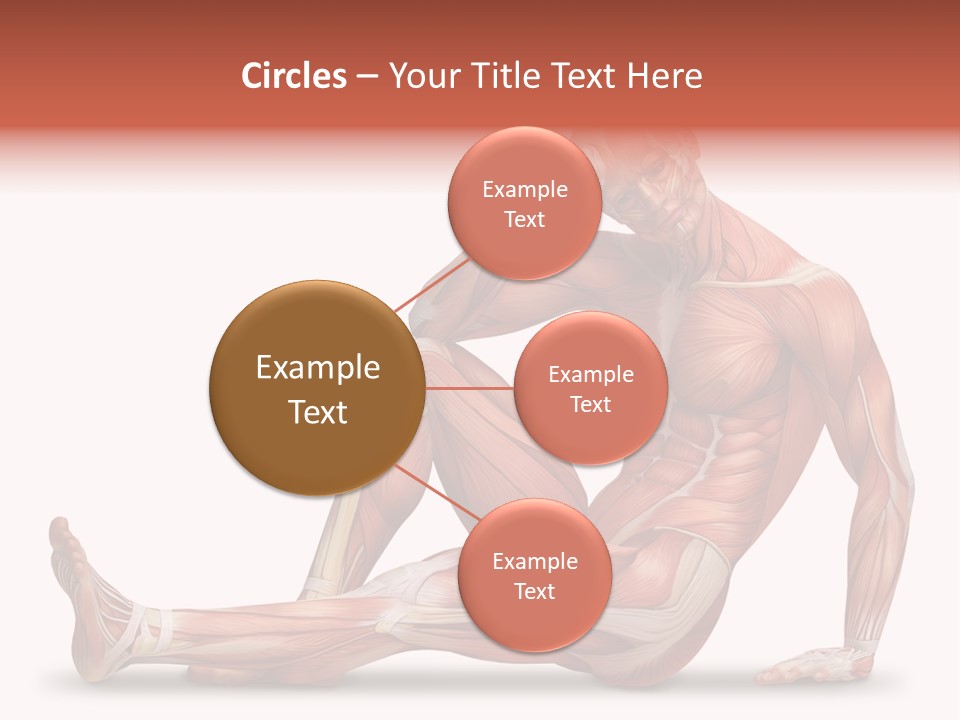 Man Body People PowerPoint Template