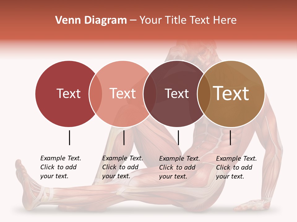 Man Body People PowerPoint Template