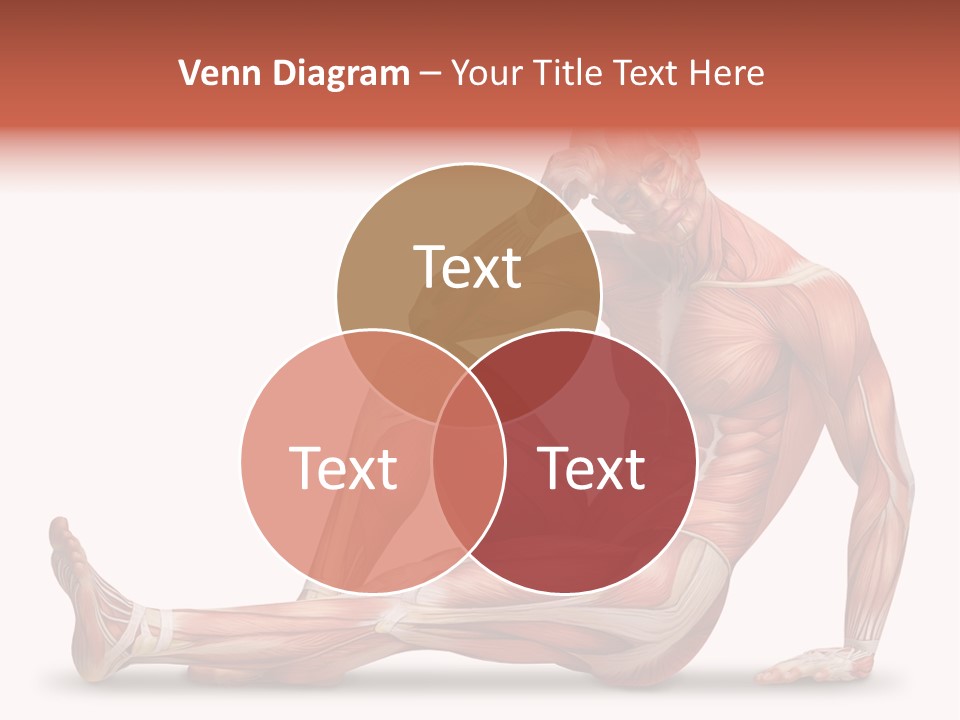 Man Body People PowerPoint Template