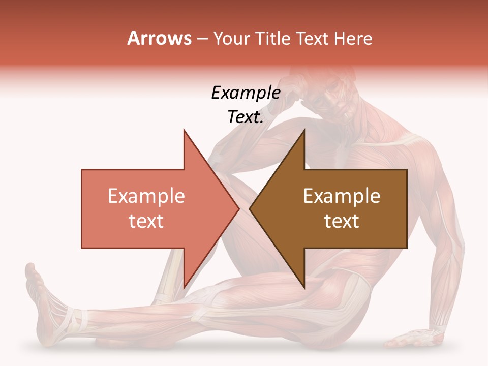 Man Body People PowerPoint Template