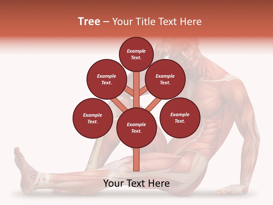 Man Body People PowerPoint Template