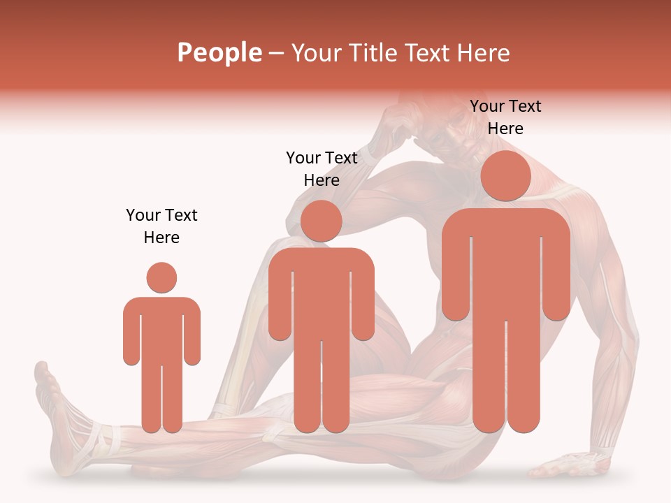 Man Body People PowerPoint Template