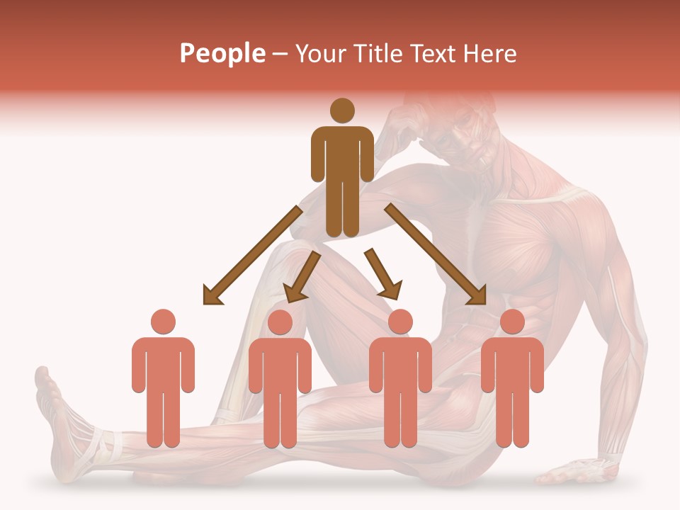 Man Body People PowerPoint Template