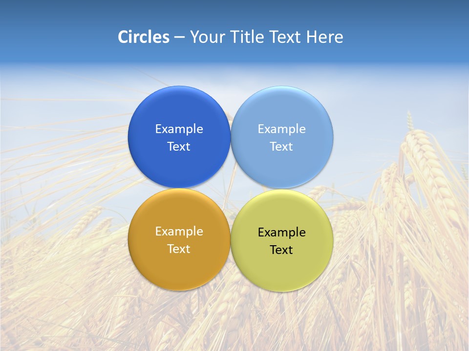 Scene Healthy Land PowerPoint Template