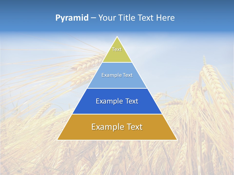 Scene Healthy Land PowerPoint Template