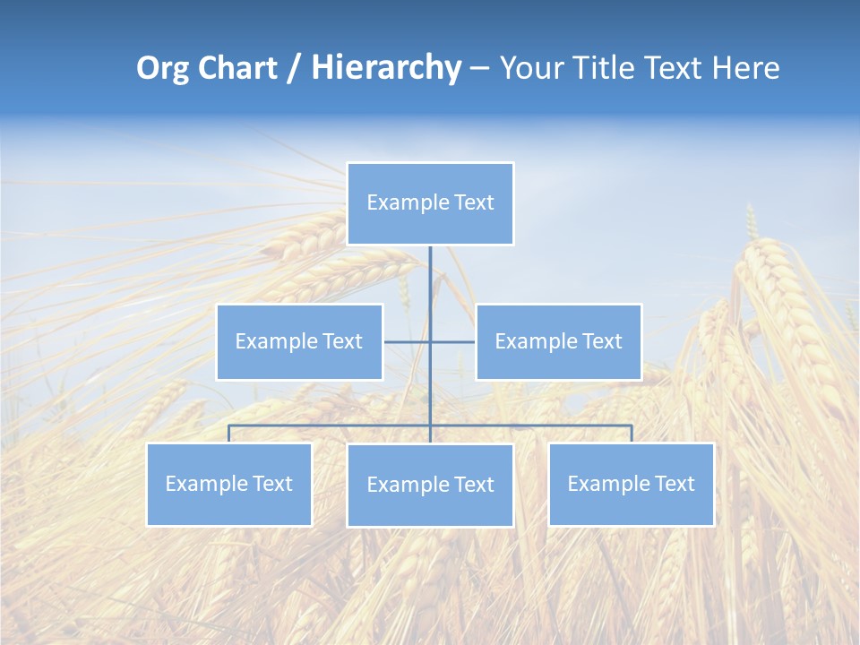Scene Healthy Land PowerPoint Template