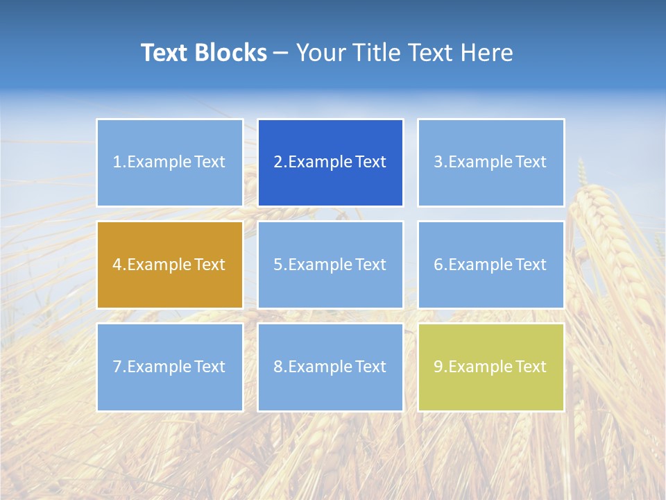 Scene Healthy Land PowerPoint Template