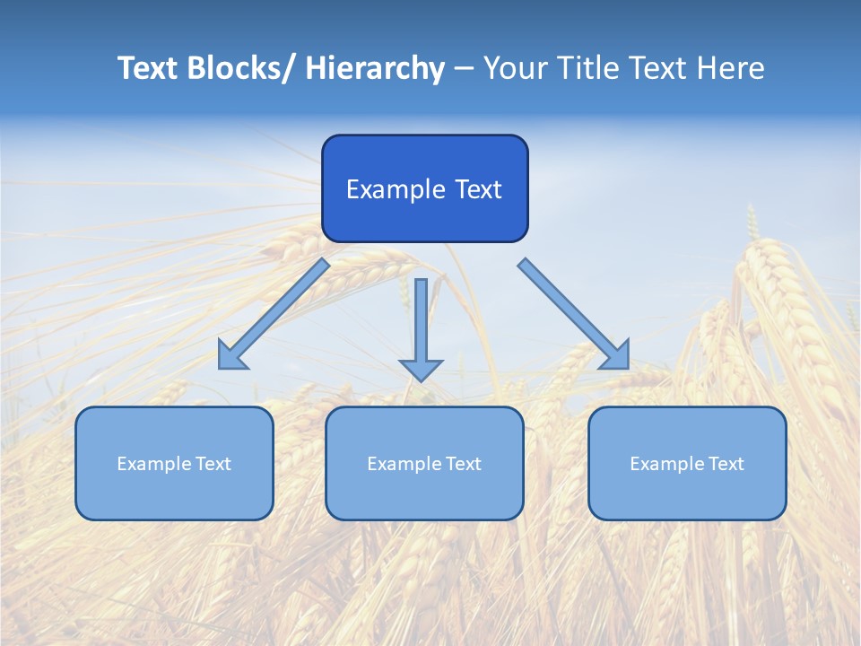 Scene Healthy Land PowerPoint Template