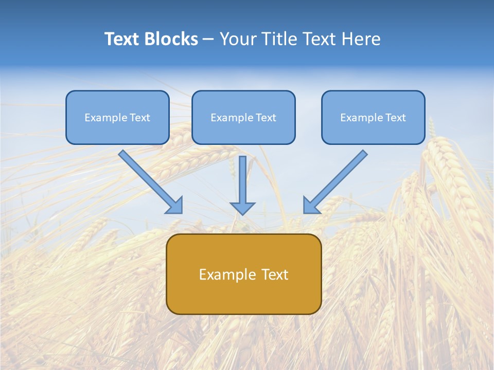 Scene Healthy Land PowerPoint Template