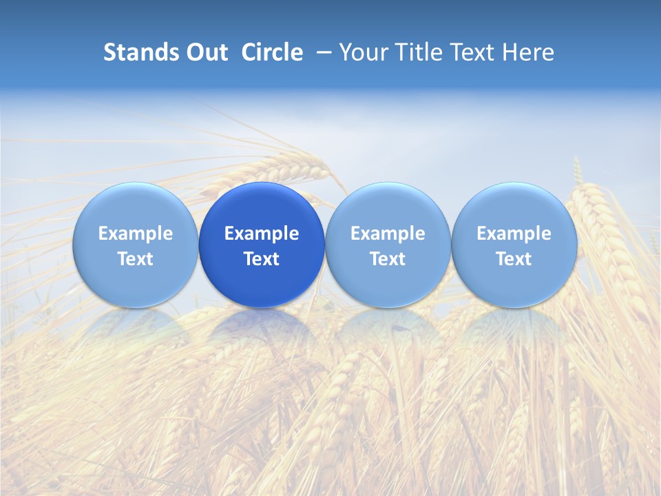 Scene Healthy Land PowerPoint Template