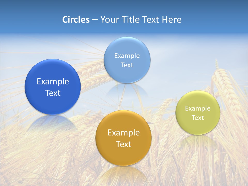 Scene Healthy Land PowerPoint Template