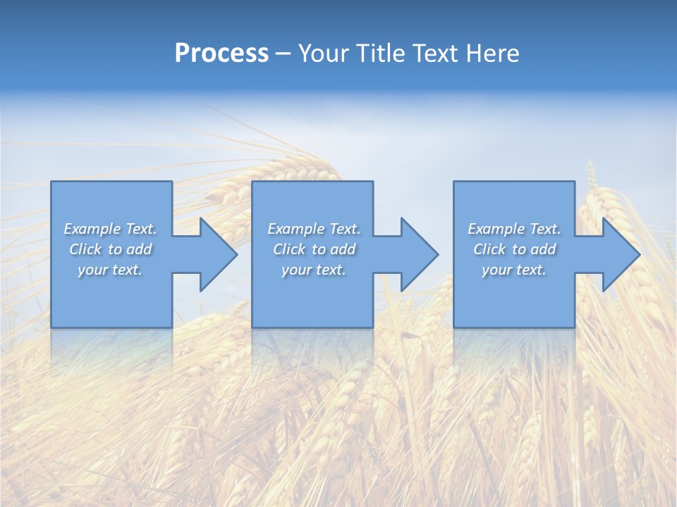 Scene Healthy Land PowerPoint Template