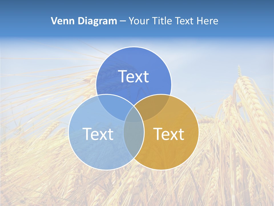 Scene Healthy Land PowerPoint Template