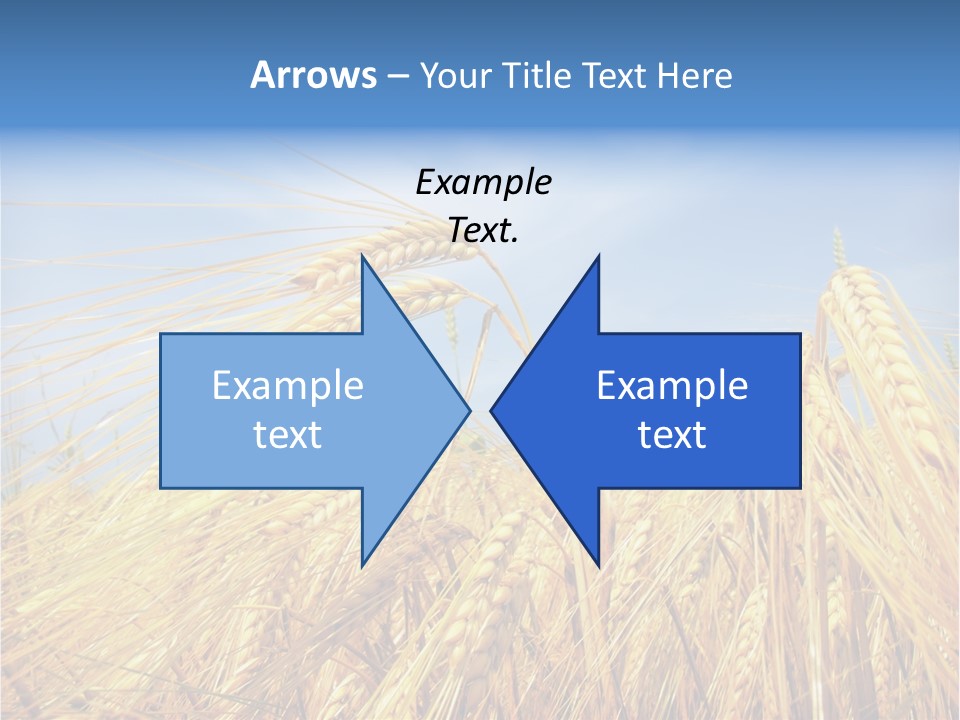 Scene Healthy Land PowerPoint Template