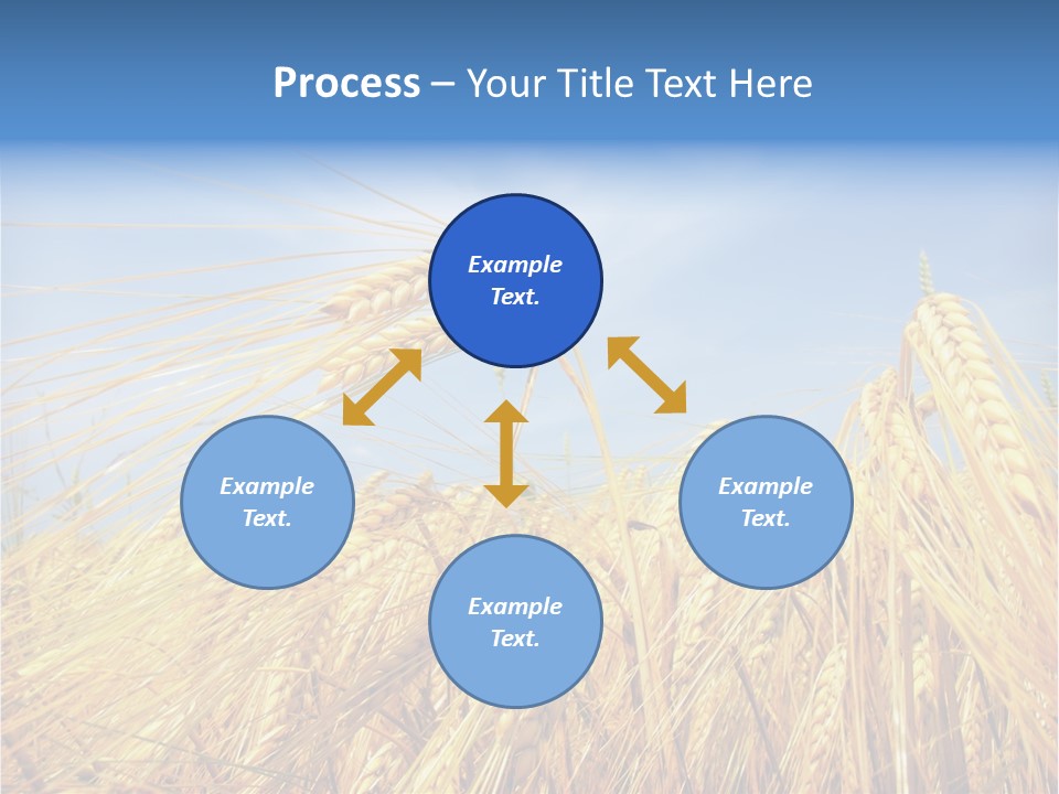 Scene Healthy Land PowerPoint Template