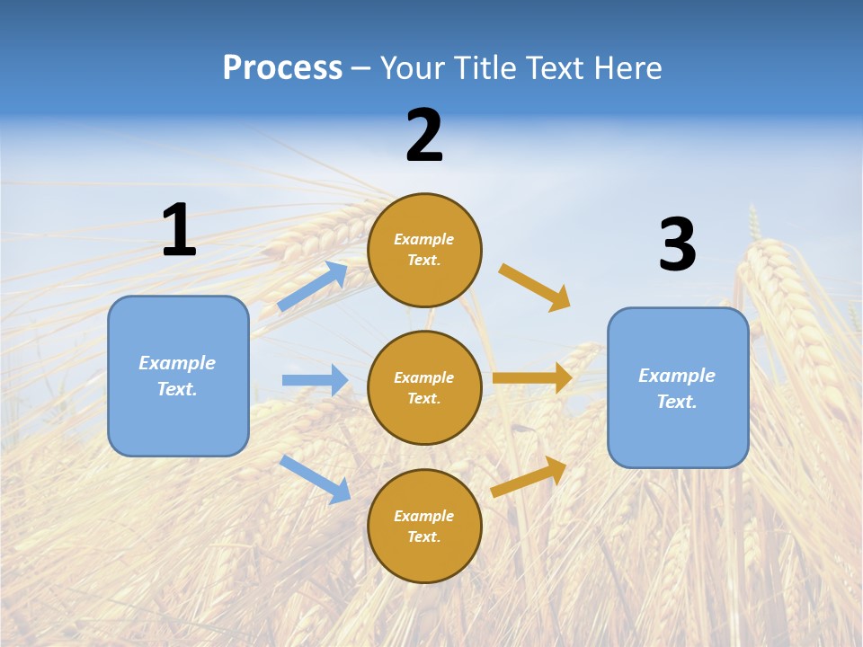 Scene Healthy Land PowerPoint Template
