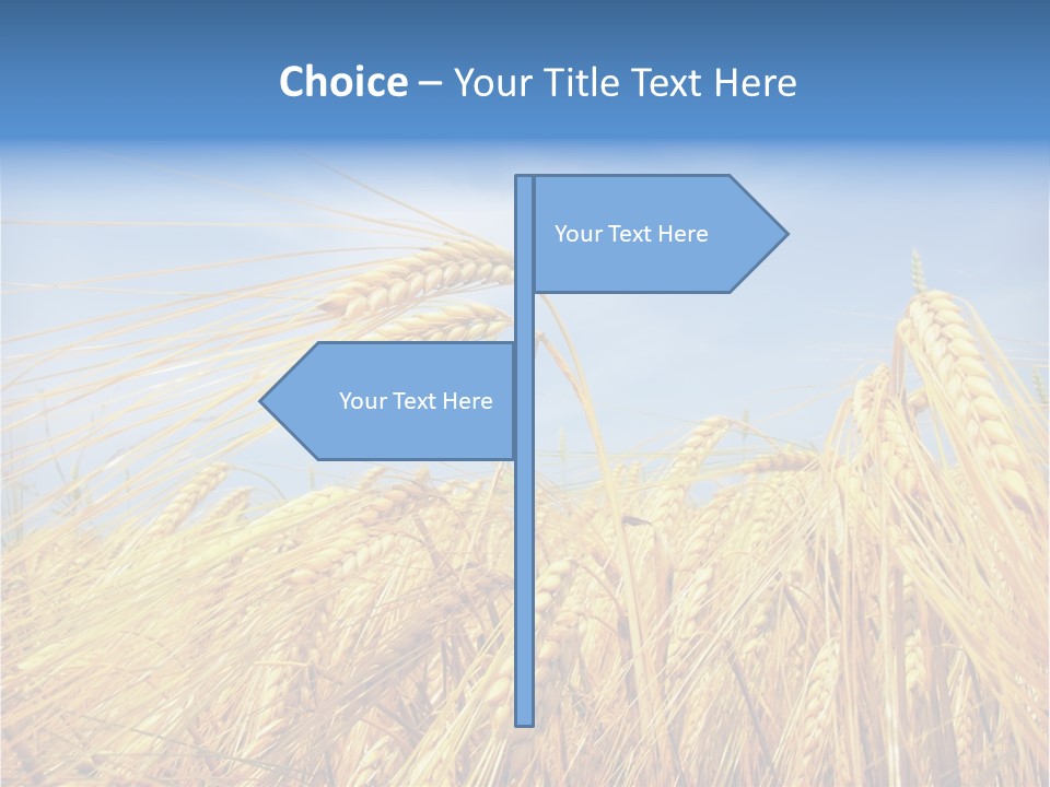 Scene Healthy Land PowerPoint Template