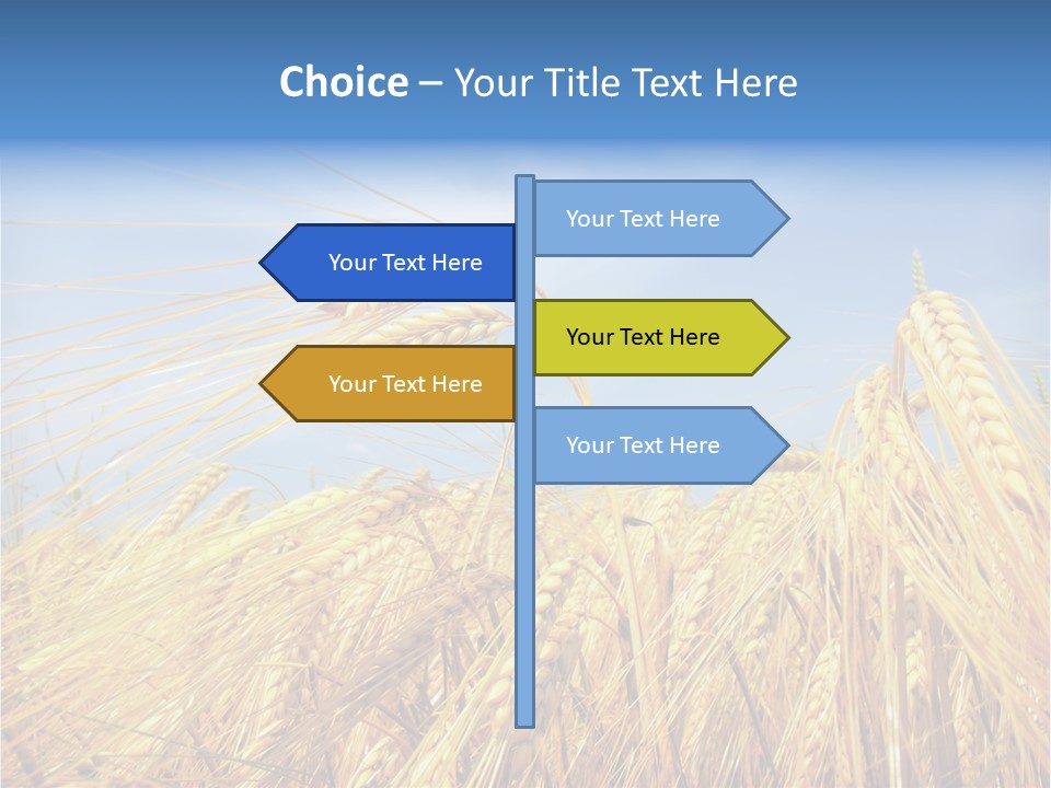 Scene Healthy Land PowerPoint Template