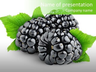 White Bramble Close Up PowerPoint Template